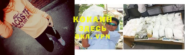 прущие грибы Балабаново