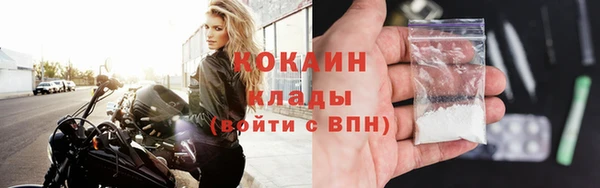 прущие грибы Балабаново