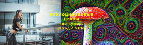 прущие грибы Балабаново