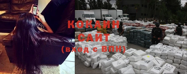 прущие грибы Балабаново