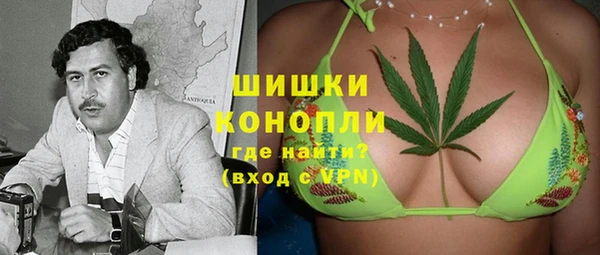 прущие грибы Балабаново
