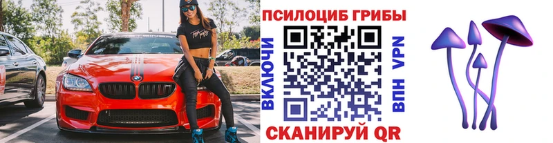 площадка формула  Шарья  Псилоцибиновые грибы Magic Shrooms 